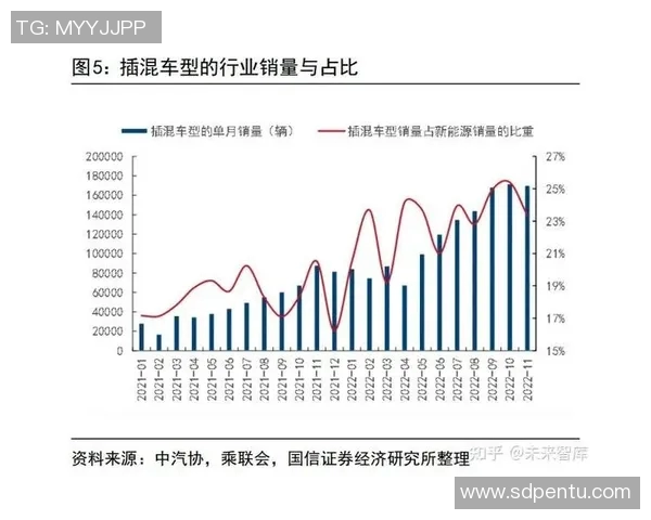 武汉乒乓球队实力分析与发展潜力的深度探讨与展望