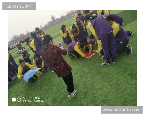 深圳飞盘队心理素质分析与提升策略探讨