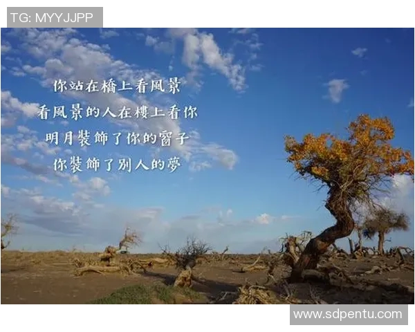 赵强谈网球生涯：从青涩少年到职业选手的心路历程与成长故事