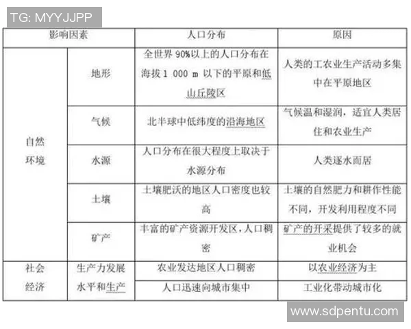 上海乒乓球队反击战术解析及其在全国赛中的表现与影响