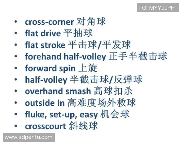 上海网球队配合策略深度解析与其他球队的对比分析