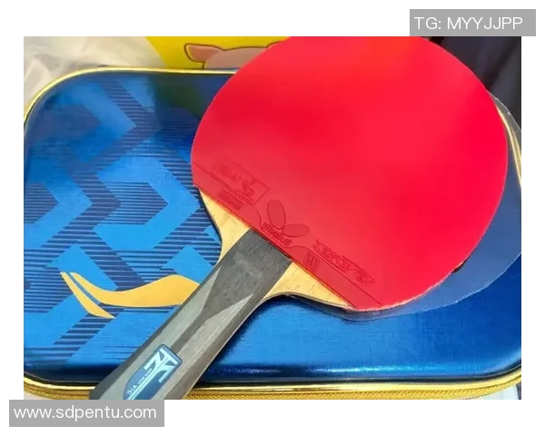 乒乓球装备选购指南及高效训练器材推荐助你提升球技