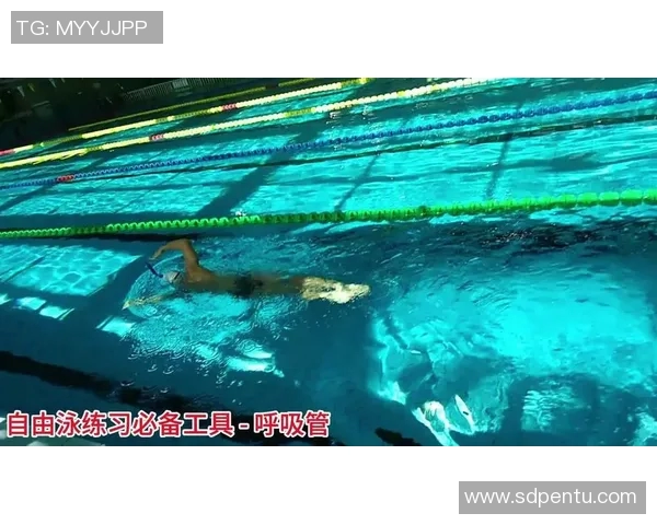 自由泳呼吸技巧解析及优化方法提升游泳效率和持久性