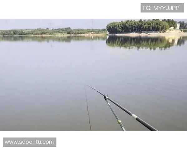 渔具选购与使用技巧全攻略助你成为钓鱼高手