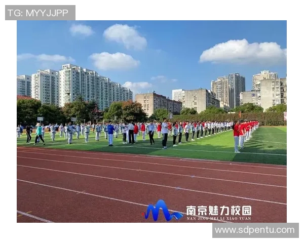 南京排球队的拼搏历程与荣耀时刻全景纪实